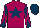 Jockey silks for Nowyouvebinandunit