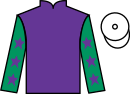 Jockey silks for Jewel Of Windsor (FR)