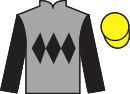 Jockey silks for Celtic Art (FR)