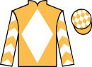 jockey silks