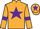 jockey silks