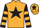 jockey silks