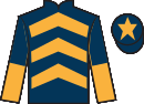 jockey silks