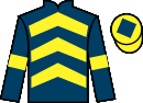 Jockey silks for Belcamo