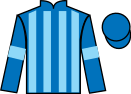 Jockey silks for Castanea Breeze (IRE)