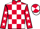 Jockey silks for Brave Fortune (IRE)
