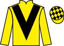 Jockey silks for Eldorado Allen (FR)
