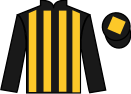 jockey silks