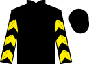 jockey silks