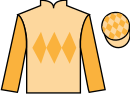 jockey silks