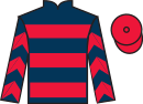 Jockey silks for Equion