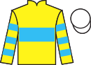 Jockey silks for One Last Glance
