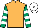 jockey silks