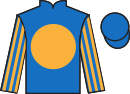jockey silks