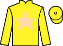 jockey silks