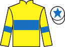 Jockey silks for Aruntothequeen (IRE)