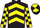 Jockey silks for Hall Lane (IRE)