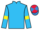 Jockey silks for Doon The Glen