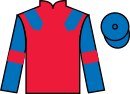 Jockey silks for Headshot