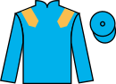 Jockey silks for Outrun The Storm (IRE)