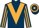 Jockey silks for War Memorial