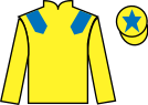 jockey silks