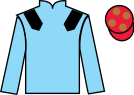 jockey silks