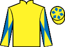 jockey silks