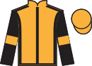 jockey silks