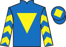 jockey silks