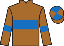 jockey silks