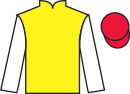 jockey silks