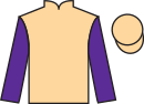 jockey silks