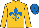 jockey silks