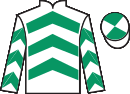 jockey silks