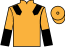 jockey silks