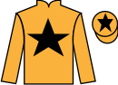 jockey silks
