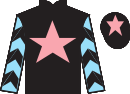 jockey silks