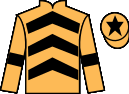 Jockey silks for Kingoftheswingerz (IRE)
