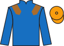 Jockey silks for Bollin Neil