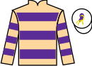 Jockey silks for Scammer