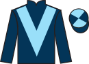 jockey silks