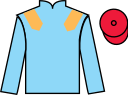 jockey silks