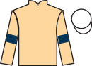 jockey silks