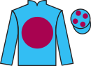 Jockey silks for Fast Bullet
