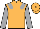 Jockey silks for Pure Artistry (IRE)