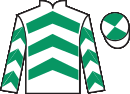 jockey silks