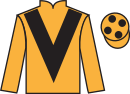 jockey silks