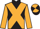jockey silks