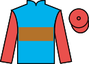 jockey silks